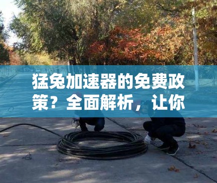 猛兔加速器的免费政策?全面解析,让你在资源有限时获得最大优势