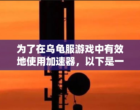 为了在乌龟服游戏中有效地使用加速器,以下是一个系统化的指南