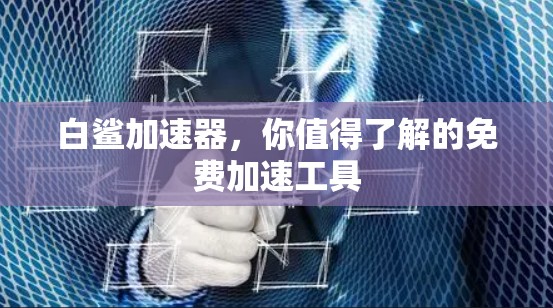 白鲨加速器,你值得了解的免费加速工具