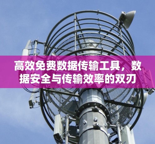 高效免费数据传输工具,数据安全与传输效率的双刃剑