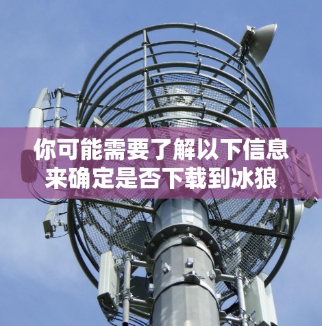你可能需要了解以下信息来确定是否下载到冰狼加速器免费版
