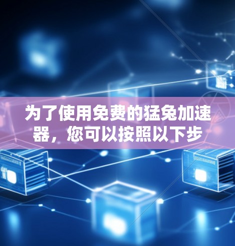 为了使用免费的猛兔加速器,您可以按照以下步骤操作