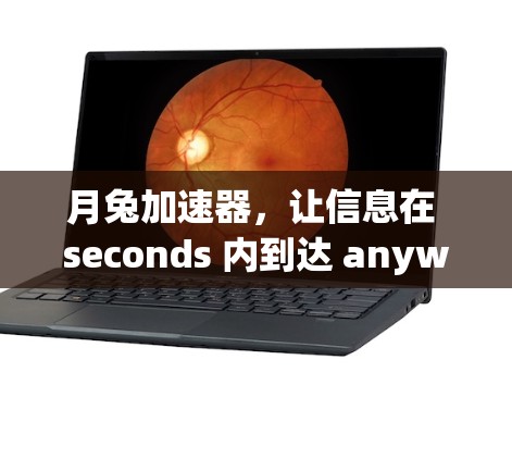 月兔加速器,让信息在 seconds 内到达 anywhere 月兔加速器,让信息在 seconds 内到达 anywhere