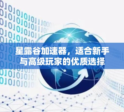 星露谷加速器,适合新手与高级玩家的优质选择