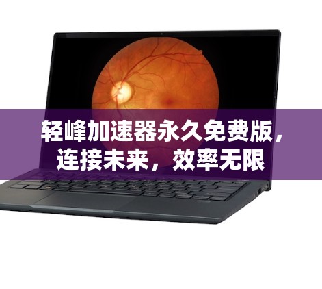 轻峰加速器永久免费版，连接未来，效率无限