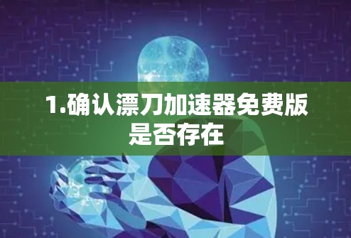 1.确认漂刀加速器免费版是否存在
