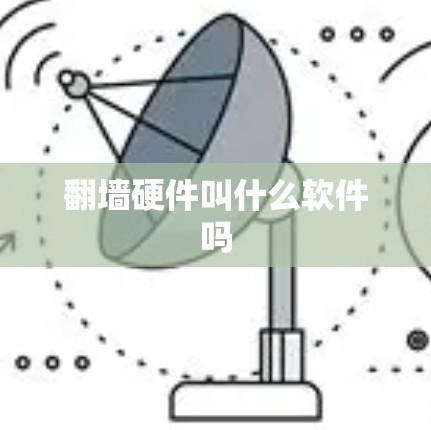 翻墙硬件叫什么软件吗