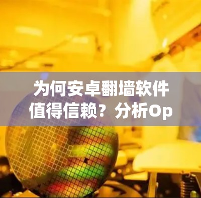 为何安卓翻墙软件值得信赖？分析Open Camino和Richomars的安全性和性能