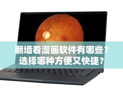 翻墙看漫画软件有哪些?选择哪种方便又快捷?