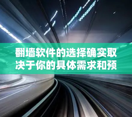 翻墙软件的选择确实取决于你的具体需求和预算。以下是一些推荐，帮助您找到一个适合自己的翻墙工具