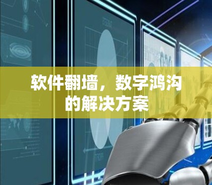 软件翻墙,数字鸿沟的解决方案 软件翻墙,数字鸿沟的解决方案