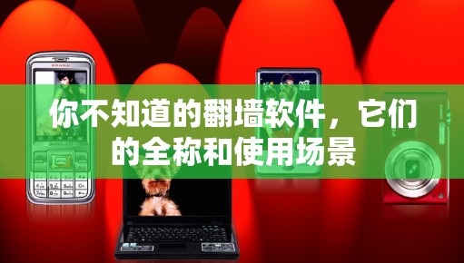 你不知道的翻墙软件,它们的全称和使用场景 你不知道的翻墙软件,它们的全称和使用场景
