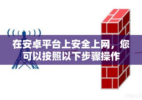 在安卓平台上安全上网，您可以按照以下步骤操作