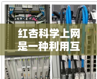 红杏科学上网是一种利用互联网获取关于红杏科学信息的方法，旨在帮助用户获取知识、参与科研项目和促进科学研究。以下是详细的步骤指南