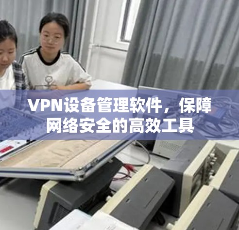 VPN设备管理软件，保障网络安全的高效工具