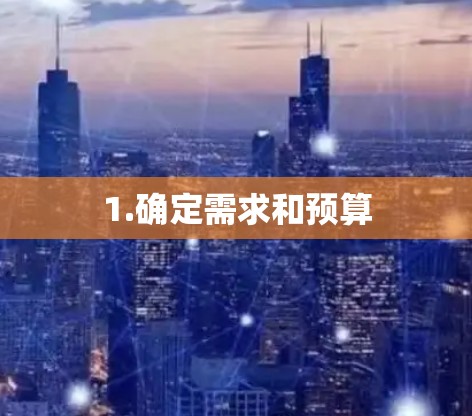 1.确定需求和预算 1.确定需求和预算
