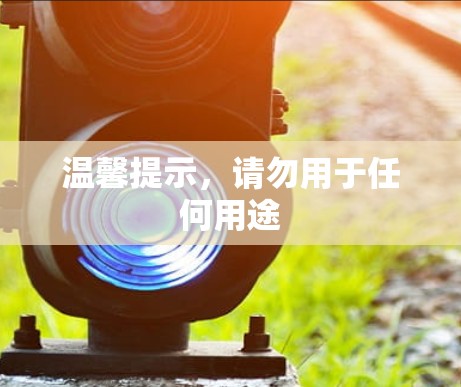 温馨提示，请勿用于任何用途