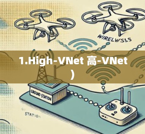 1.High-VNet 高-VNet)