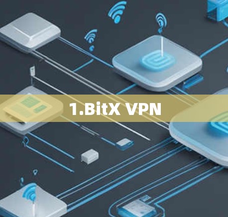 1.BitX VPN