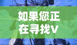 如果您正在寻找VPN可靠的应用，以下是一些步骤性的建议