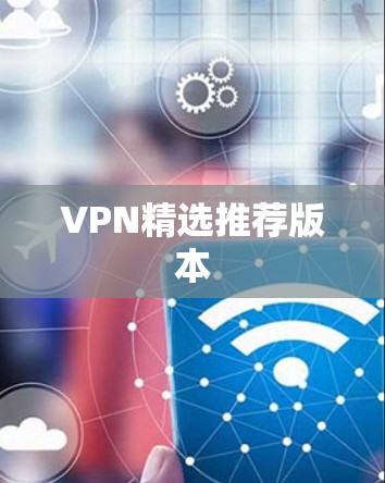 VPN精选推荐版本
