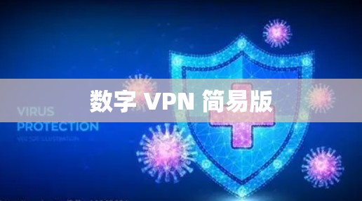 数字 VPN 简易版