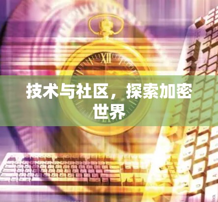 技术与社区，探索加密世界
