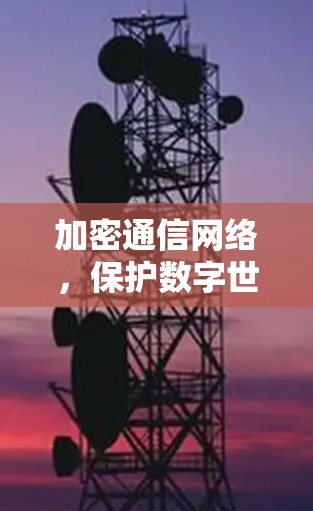加密通信网络，保护数字世界的安全密码