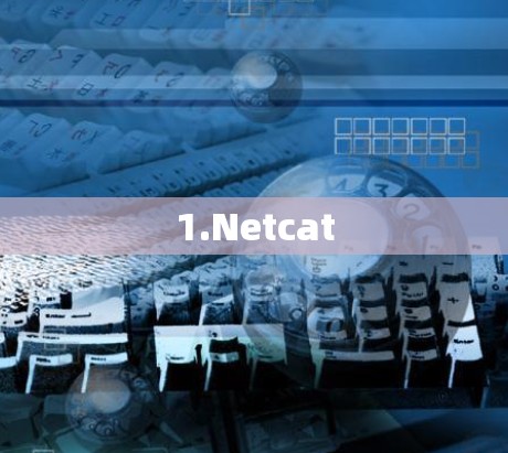 1.Netcat