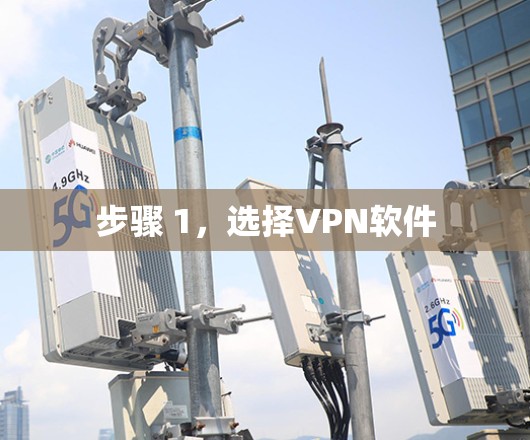 步骤 1，选择VPN软件