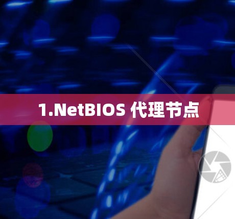 1.NetBIOS 代理节点