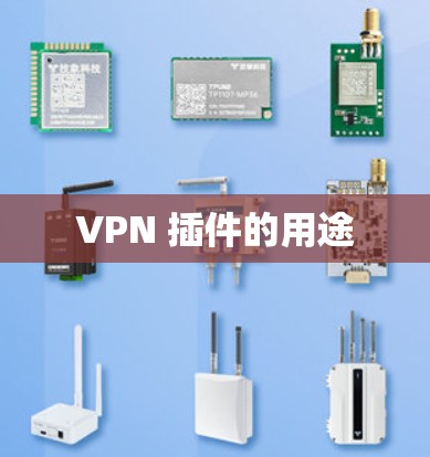 VPN 插件的用途 VPN 插件的用途
