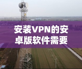安装VPN的安卓版软件需要以下步骤