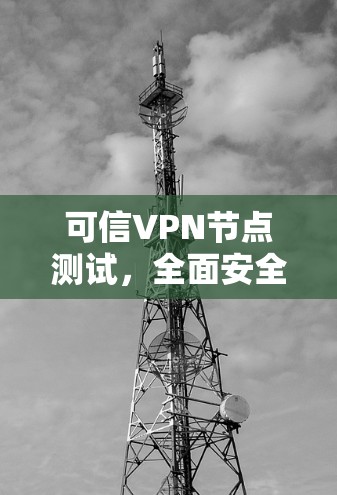 可信VPN节点测试，全面安全防护与性能优化