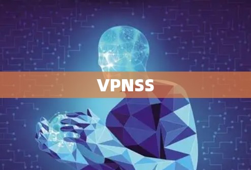 VPNSS