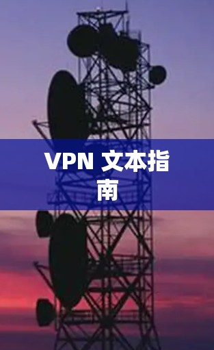 VPN 文本指南