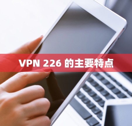 VPN 226 的主要特点