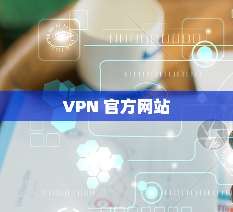 VPN 官方网站